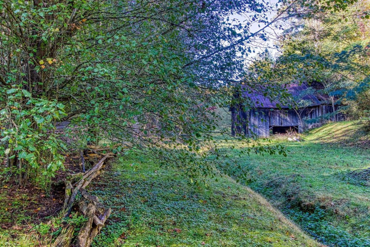 Cozy Creek Cabin Pigeon Forge Exterior foto