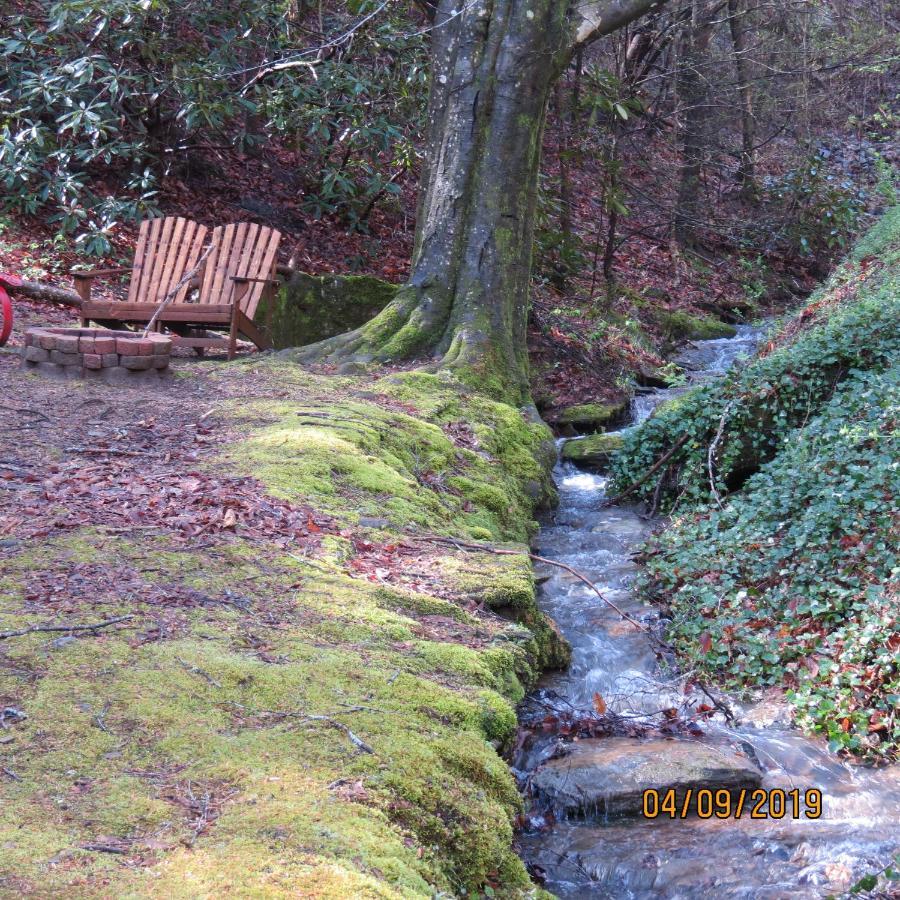 Cozy Creek Cabin Pigeon Forge Exterior foto